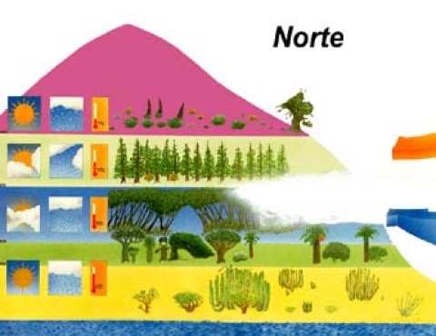 Zonas climáticas y ecosistemas