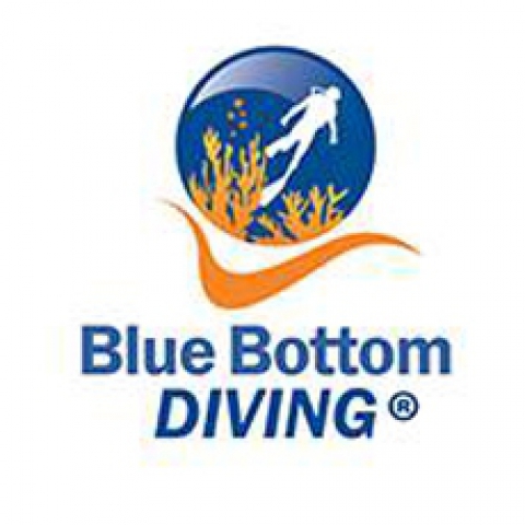blue bottom diving