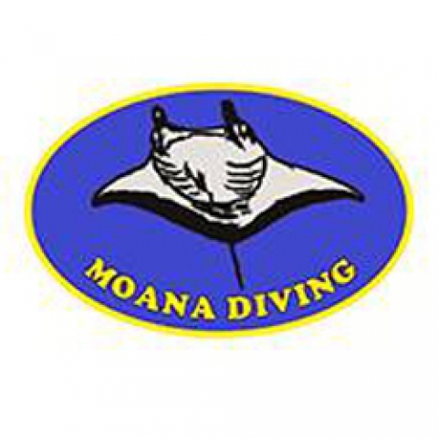 Moana diving