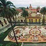 Alfombra de La Orotava 2007