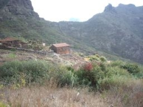 La casa