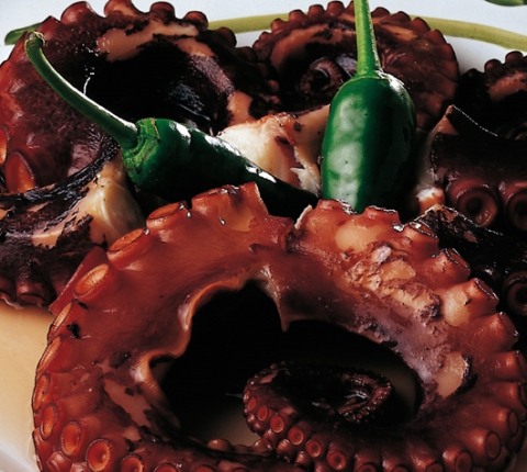 Pulpo