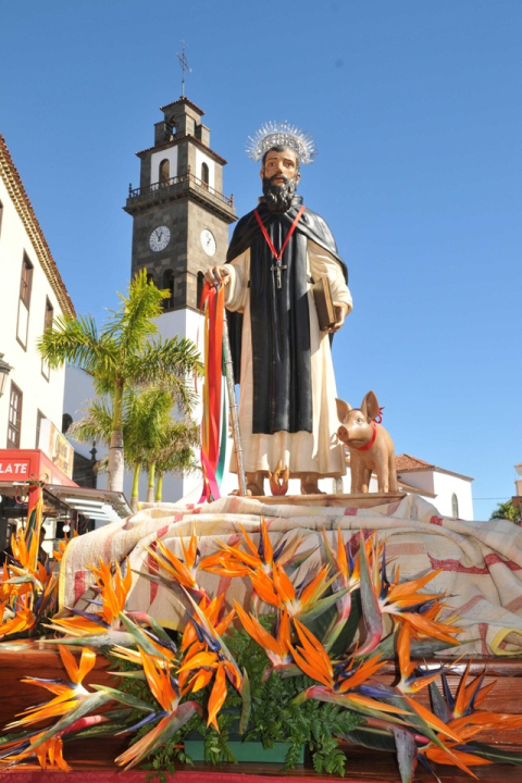 Feria de ganado y romería de San Antonio Abad 