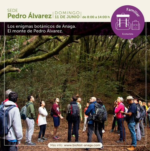 Festival Anaga Biofest