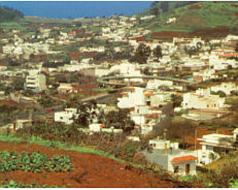 Tacoronte