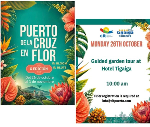 Festival Puerto de la Cruz en Flor