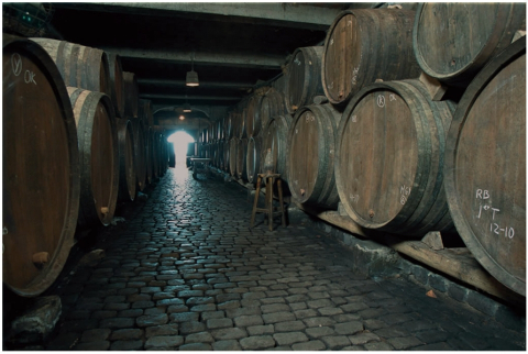 Interior bodegas Monje