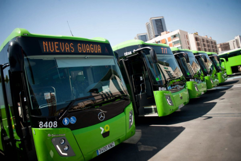 GUAGUAS y TRANVÍA
