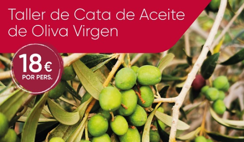 Taller de Cata de Aceite de Oliva