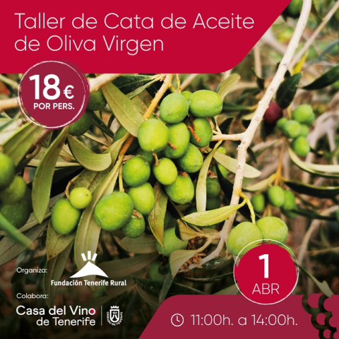 Taller de Cata de Aceite de Oliva