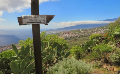 Ruta Camino Viejo a Candelaria