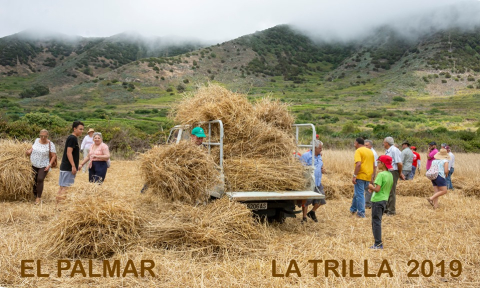 Día de La Trilla