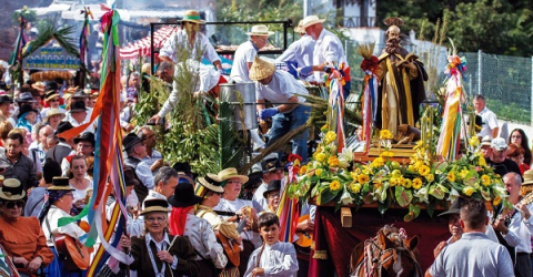 Romería de Tigaiga