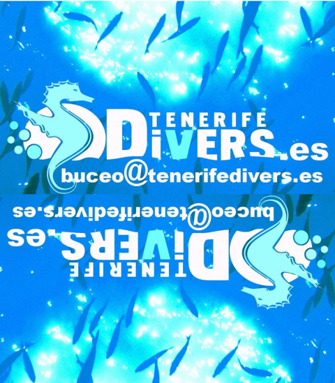 tenerife divers