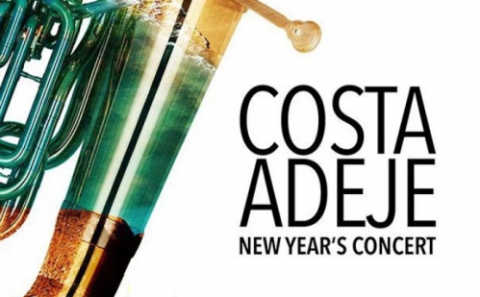 Concierto de Año Nuevo