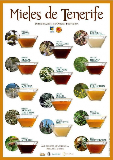 The honeys of Tenerife