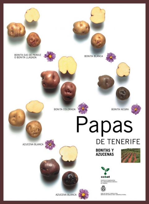 Kartoffeln von Teneriffa