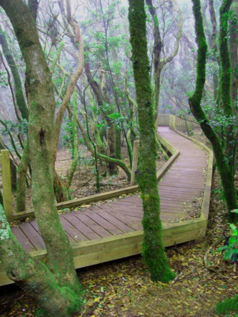 El Sendero de los Sentidos