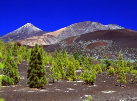 Pico del Teide Access Permit