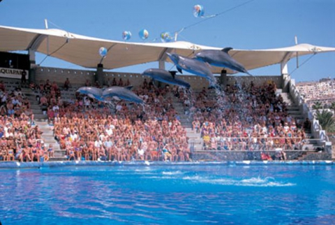 The Aqualand Costa Adeje dolphinarium