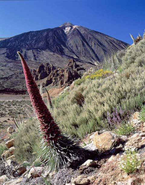El Teide desde Ucanca