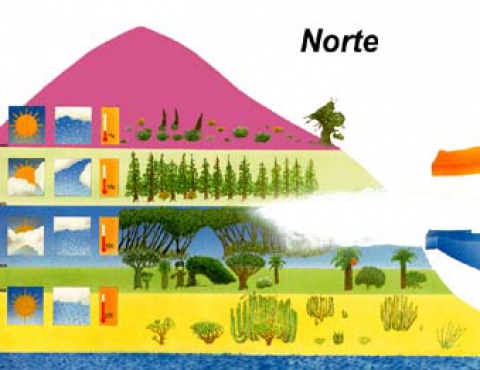 Zonas climáticas y ecosistemas