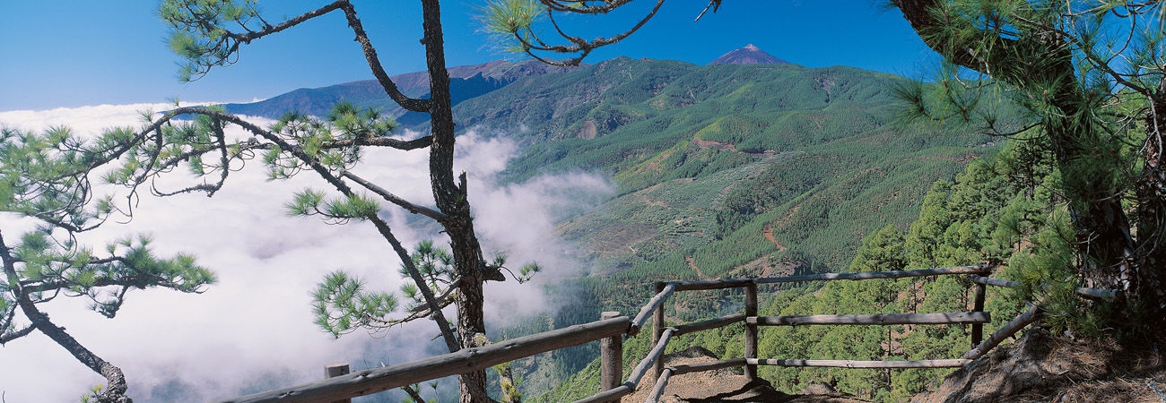 Cordillera Dorsal y El Teide Header image