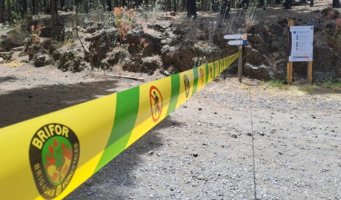 Peregrinación a Candelaria