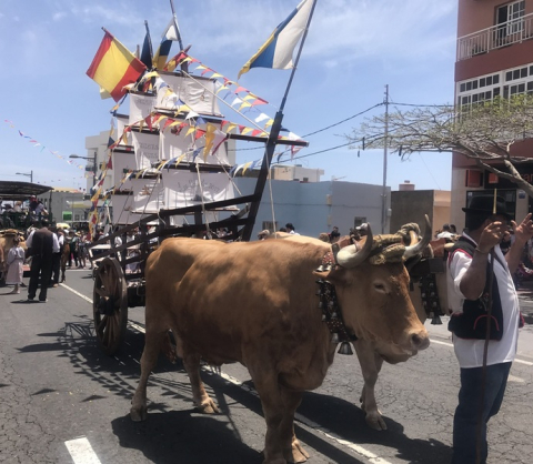 Fiestas de S. Isidro y Romería