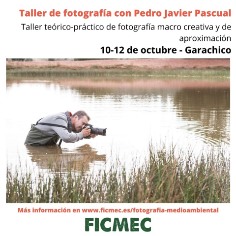 FICMEC 2020