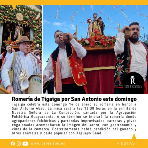 Fiestas de San Antonio Abad - Romería