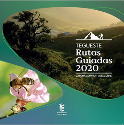 Guided routes Tegueste 2020