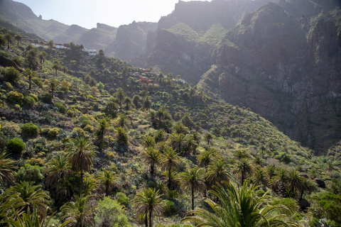WELCOME to the Masca Gorge Trail