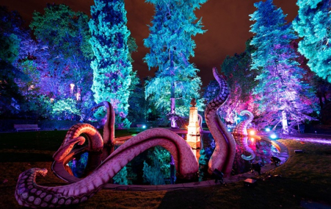 Naturaleza encendida. Explorium”